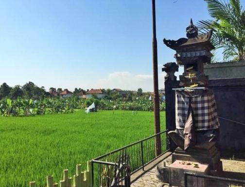 Bali Green * Seminyak (Bali)